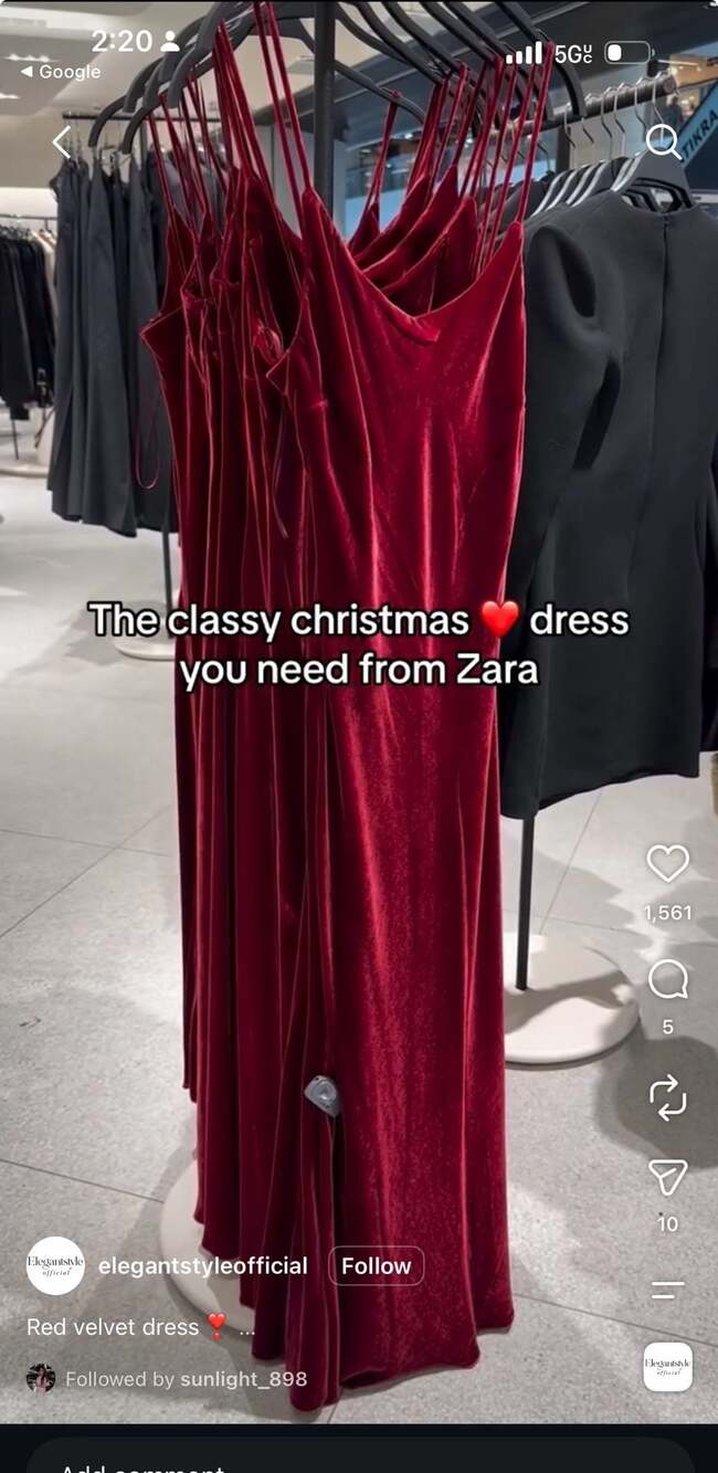 Velvet Zara dress
